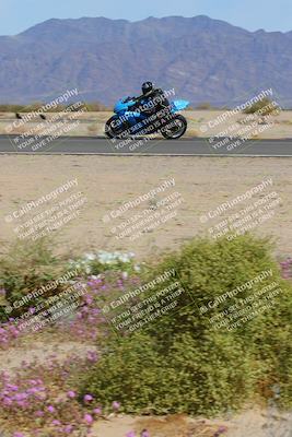 media/Mar-12-2023-SoCal Trackdays (Sun) [[d4c8249724]]/Turn 15 Inside Bloom (130pm)/